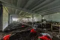 Commercial property 3 926 m² in Klopickoe selskoe poselenie, Russia