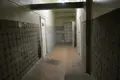 Producción 22 306 m² en Orsha, Belarús