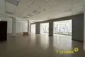 Office 217 m² in Sonyechny, Belarus