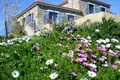 1 room Cottage 280 m² Livadochori, Greece