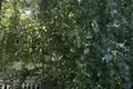 Haus 4 zimmer 100 m² Lisky, Ukraine