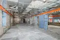 Nieruchomości komercyjne 290 m² w Mińsk, Białoruś