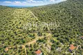 Działki 8 000 m² Pyrgadikia, Grecja