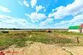 Grundstück  Biarezinski sielski Saviet, Belarus