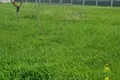 Land  Saguramo, Georgia
