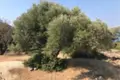 Land 1 room  Lefkada Municipality, Greece