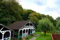 Andere 2 000 m² Welyki Lasy, Ukraine