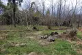 Działki  Kobuleti, Gruzja
