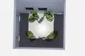 1 bedroom apartment 77 m² Torrevieja, Spain