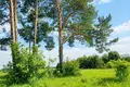 Parcelas  Kluoniskiai, Lituania