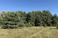 Parcelas 3 975 m² Czerwonak, Polonia