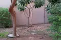 Villa de 6 pièces 351 m² Abou Dabi, Émirats arabes unis