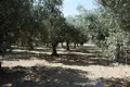Atterrir 1 chambre  Episkopi, Grèce