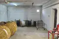 Gewerbefläche 342 m² Lida, Belarus