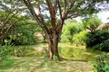 3-Schlafzimmer-Villa 353 m² Rawai, Thailand