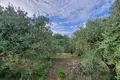 Parcelas  Eastern Macedonia and Thrace, Grecia