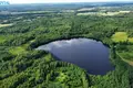 Działki  Petrauskai, Litwa