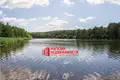 Коммерческое помещение 384 м² Незбодичский сельский Совет, Беларусь