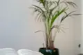 2 room apartment 40 m² in Palanga, Lithuania