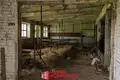 Atterrir  Chidrynski sielski Saviet, Bélarus
