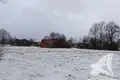 Grundstück 37 m² Pyeski, Belarus