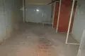Producción 22 306 m² en Orsha, Belarús