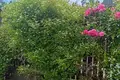Земельные участки  Valai, Литва