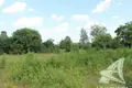 Parcelas 125 m² Znamienski sielski Saviet, Belarús