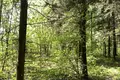 Działki  Buzarovo, Rosja