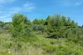 Land 1 room 9 000 m² Paliouri, Greece