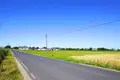 Wohnung 750 m² Oblaczkowo, Polen