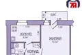 Mieszkanie 1 pokój 25 m² Słuck, Białoruś