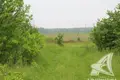 Działki  Cerninski sielski Saviet, Białoruś