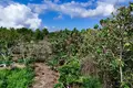 Działki 10 000 000 m² Kutampi Kaler, Indonezja