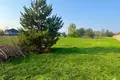 Atterrir 3 167 m² Voïvodie de Łódź, Pologne