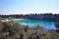 Land 1 room 13 000 m² Thassos Municipality, Greece