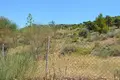 Działki 1 pokój 7 700 m² Municipality of Saronikos, Grecja