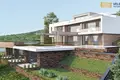 Developer project