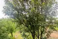 2 room apartment 44 m² Minsk, Belarus