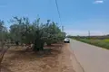 Grundstück 2 800 m² Nea Flogita, Griechenland