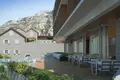 Commercial property  in Montenegro, Montenegro