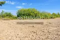 Atterrir 6 000 m² Kalandra, Grèce