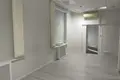 Commercial property 210 m² in Minsk, Belarus
