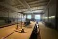 Propiedad comercial 1 665 m² en Ogre, Letonia
