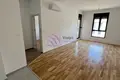 Wohnung 1 zimmer 45 m² in Podgorica, Montenegro