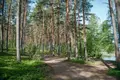 Hüttendorf Ucastki v Grecuhino