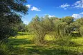 Parcelas 4 054 m² Nea Triglia, Grecia