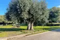 Земельные участки 1 комната  Ayios Elias, Греция