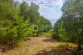 Land 4 098 m² Nea Skioni, Greece