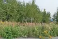 Grundstück 1 100 m² Gorodetsky District, Russland